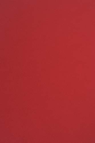 Netuno 100x Tonkarton Rot DIN A4 210 x 297 mm 170g Sirio Color Lampone Feinkarton Kreativ-Karton farbig Bastel-Bogen Naturkarton für DIY Projekte Visitenkarten von Netuno