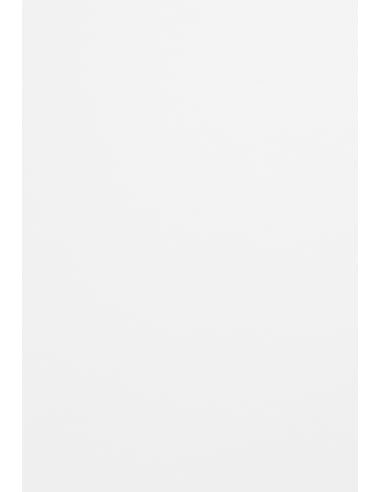 Netuno 100x Tonpapier Weiß DIN A4 21 x 29,7 cm 120g Malmero Blanc weißes Bastelpapier elegant bedruckbar Kartonpapier hochwertig für Broschüren Poster Einladungen Basteln Gestalten von Netuno