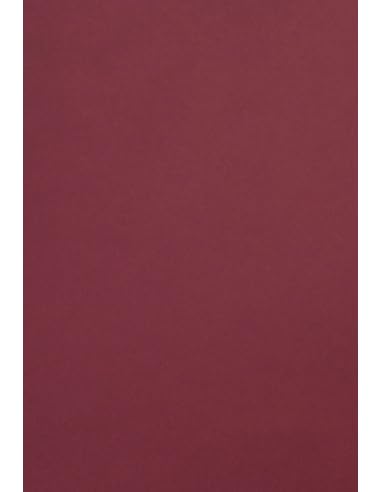 Netuno 100x farbiges Tonpapier Bordeaux DIN A4 21 x 29,7 cm 120g Malmero Palissandre Bastelpapier farbig bedruckbar Farbpapier Kartonpapier bunt hochwertig für Broschüren Einladungen Poster von Netuno