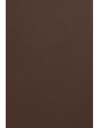 Netuno 100x farbiges Tonpapier Braun DIN A4 21 x 29,7 cm 120g Malmero Tourbe braunes Bastelpapier farbig bedruckbar Farbpapier Kartonpapier bunt Braun-Töne für Broschüren Einladungen Basteln von Netuno