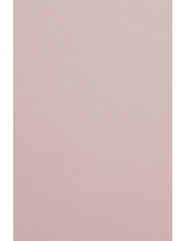 Netuno 100x farbiges Tonpapier Hell-Rosa DIN A4 21 x 29,7 cm 120g Malmero Rose Antique Bastelpapier rosa töne farbig bedruckbar Farbpapier Kartonpapier bunt hochwertig für Broschüren Einladungen von Netuno