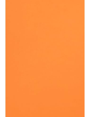 Netuno 100x farbiges Tonpapier Orange DIN A4 21 x 29,7 cm 120g Malmero Orange Bastelpapier farbig bedruckbar Farbpapier Kartonpapier bunt hochwertig für Broschüren Einladungen Poster von Netuno