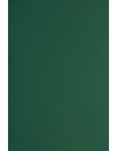 Netuno 10x Bastelkarton Grün DIN A4 21 x 29,7 cm 330g Plike Green Ton-Karton edel soft touch Design gummiartige Haptik Effektkarton farbig Luxuskarton bunt für Visitenkarten Einladungskarten von Netuno