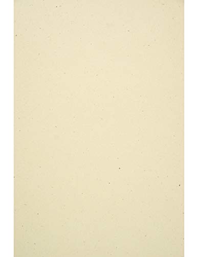 Netuno 10x Naturpapier Tabakfarbe DIN A4 21 x 29,7 cm 130g Flora Tabacco Recyclingpapier ökologisches Papier Vintage Retrolook Öko Feinpapier Bastelpapier Eco für Hochzeit Weihnachten Geburtstag von Netuno