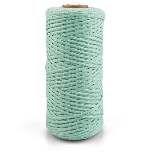 Netuno 1x Makramee Garn Mint 2 mm 150 m einfach gedreht Kordel Baumwolle Textilgarn Naturbaumwolle Garn für Makramee Schnur Baumwollkordel Dekoschnur farbig Twisted Macrame Cotton Cord von Netuno