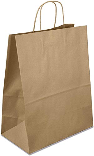 Netuno 20 Braun Papiertüten mit Henkel 25 x 32 x 11 cm Papiertragetaschen mit Griff Geschenktüten Kraftpapiertüten Einkaufstaschen Kraftpapier Einkaufstüten Papier Taschen Geschenkbeutel von Netuno