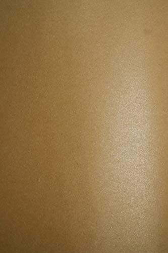 Netuno 20x Bastelkarton Kraft mit Glitzer DIN A4 210x 297 mm 300g Aster Metallic Rustic Coop Dust Kraftkarton glänzend Pearlkarton Perlglanz-Bastel-Karton Perlmutt-Glanz Effektkarton Kraftpapier von Netuno