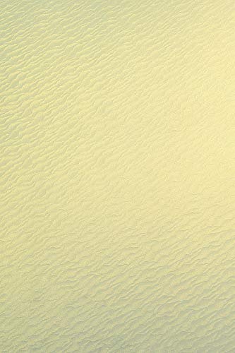 Netuno 20x Bastelkarton Perlmutt-Vanille DIN A4 210x 297 mm 250g Aster Metallic Gold Ivory Sea Pearlkarton Bastelpapier metallisch glänzend mit Muster Glanzpapier zum Basteln Schimmerpapier von Netuno