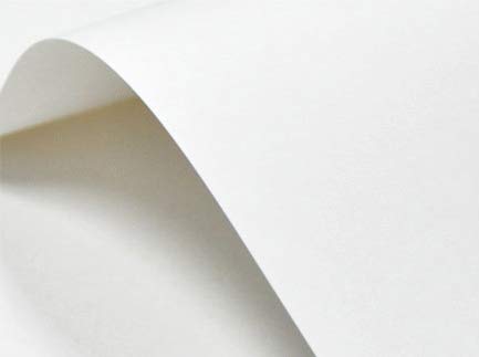 Netuno 20x Weiß Karton glatt DIN A4 210x 297 mm 246g Elfenbeinkarton Ultraweiß Bastelkarton a4 zum Bedrucken hochwertig für Visitenkarten Einladungs-Karten Menükarten Zertifikate Urkunden Diplome von Netuno