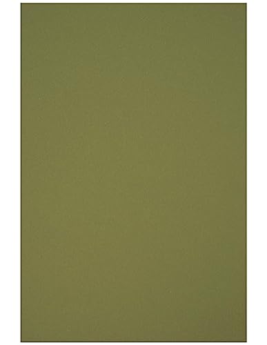 Netuno 25 Blatt Bastelkarton Grün DIN A4 210x 297 mm 160g Circolor Rosemary Farbkarton a4 Grün Tonkarton Recycling zum Basteln Tonpapier Tonzeichenpapier Öko Kartonpapier farbig Umwelt von Netuno