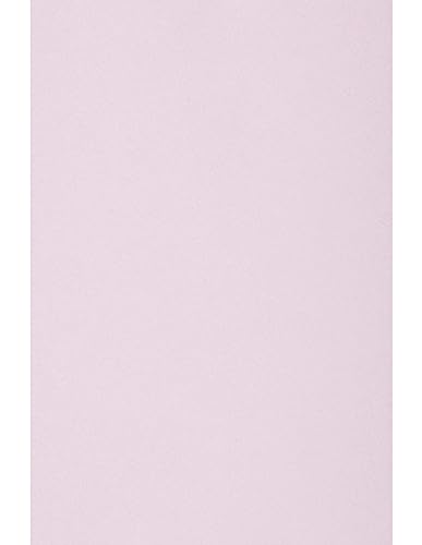 Netuno 25 Blatt Bastelkarton Lila DIN A4 210x 297 mm 160g Circolor Peony Farbkarton a4 Tonpapier Zeichenpapier zum Basteln Druckerpapier Recycling Kopierpapier Umwelt Malpapier Schreibpapier a4 von Netuno