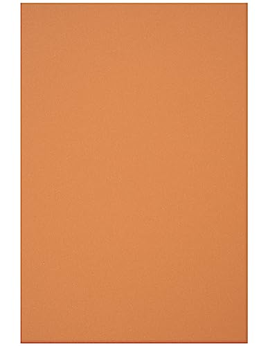 Netuno 25 Blatt Bastelkarton Orange DIN A4 210x 297 mm 160g Circolor Pumpkin Farbkarton a4 Orange multifunktional Tonkarton Recycling Kartonpapier farbig Öko-Karton zum Drucken Malen Basteln von Netuno