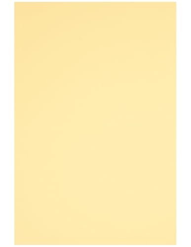 Netuno 40 Blatt Bastelkarton farbig Chamois DIN A5 14,8 x 21 cm 230g Rainbow farbiges Kopierpapier bedruckbar für Inkjet Laser Schule Büro Basteln Druckerpapier bunt Bastelpapier Tonpapier Netuno 40 Blatt Bastelkarton farbig Chamois DIN A5 14,8 x 21 cm 230g Rainbow farbiges Kopierpapier bedruckbar für Inkjet Laser Schule Büro Basteln Druckerpapier bunt Bastelpapier Tonpapier von Netuno