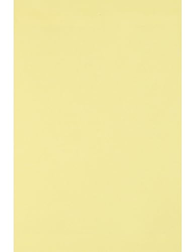 Netuno 500 Blatt Bastelpapier Hell-Gelb DIN A4 210x 297 mm 80g Circolor Camomile Farbpapier a4 gelb doppelseitig zum Malen Beschreiben Zeichenpapier Skizzenpapier Druckerpapier farbig Öko-Papier von Netuno