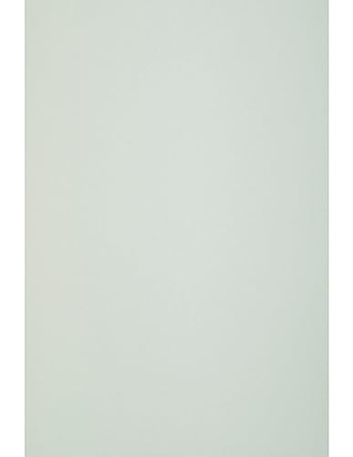 Netuno 500 Blatt Bastelpapier Mint-Grün DIN A4 210x 297 mm 80g Circolor Mint Farbpapier a4 Öko Kopierpapier Buntpapier Recyclingpapier farbiges Papier bedruckbar Druckerpapier Tonzeichenpapier von Netuno