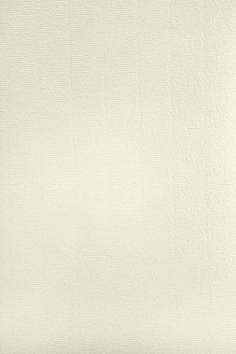 Netuno 500x Elfenbein Bastelpapier gerippt mit Wasserzeichen DIN A4 297x 210mm 120g Aster Laid Ivory hochwertiges Ausstattungspapier Effektpapier Designpapier mit Rippung Urkundenpapier Spezialpapier von Netuno