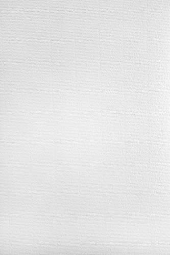 Netuno 500x Weiß Bastelkarton gerippt mit Wasserzeichen DIN A4 29,7 x 21 cm 220g Aster Laid White Ausstattungs-Karton mit feiner Rippung für Diplome Zertifikate Urkundenpapier Netuno 500x Weiß Bastelkarton gerippt mit Wasserzeichen DIN A4 29,7 x 21 cm 220g Aster Laid White Ausstattungs-Karton mit feiner Rippung für Diplome Zertifikate Urkundenpapier von Netuno