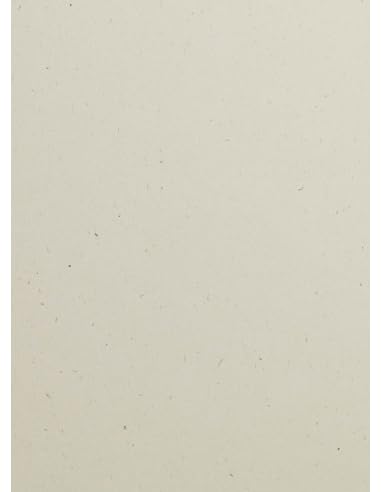 Netuno 50x Naturkarton Beige DIN A4 210 x 297 mm 240g Flora Noce Eco Kartenkarton kreativ A4 Umweltkarton Qualität Naturkarton Bastel-Bogen für Deko-Projekte DIY Kunst und Handwerk von Netuno