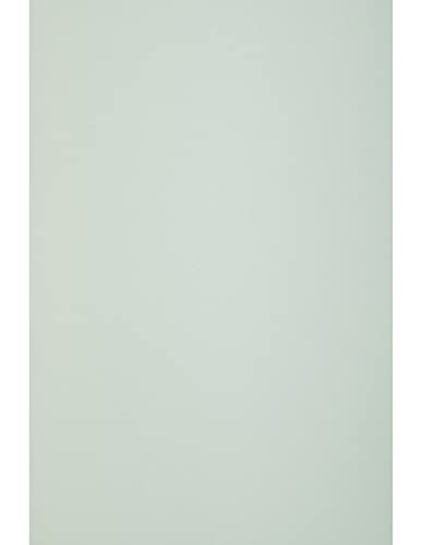 Netuno 50x Pastell-Grün Natur-Papier DIN A4 210 x 297 mm 120g Keaykolour Pastel Green Bastelpapier A4 Hellrosa hochwertige Qualität für Druckaufgaben Einladungs-Karten Hochzeits-Karten von Netuno