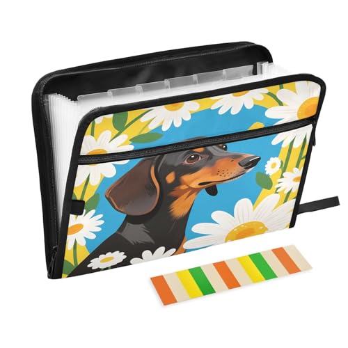 Daisy Dog Fächermappe mit 13 Fächern, A4, mit Reißverschluss, Blau und Gelb Daisy Dog Fächermappe mit 13 Fächern, A4, mit Reißverschluss, Blau und Gelb von Nexawaveo