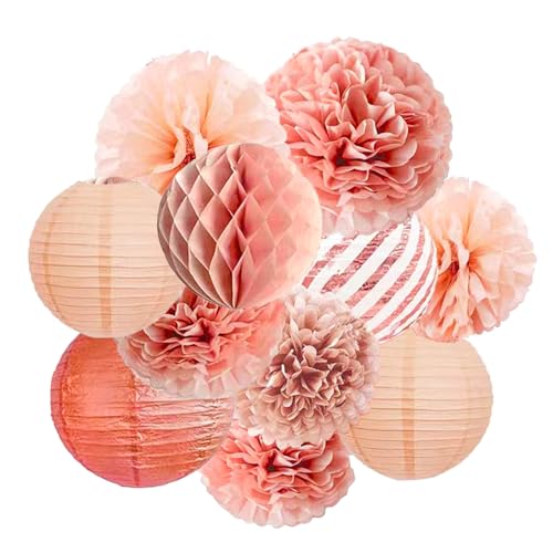 11 Stück Papierlaternen Pom Poms Wabenkugeln Dekorationsset, Baby Shower Dekorationen für Jungen Mädchen, Party Zubehör Set Party Dekoration für Abschlussfeier Hochzeit Jahrestag Geburtstag (Rosa) von Nhgkju