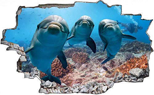 3D Beschädigten Wandsticker,Delfine Meer Delfin, Kinderzimmer Babyzimmer Entfernbare Wandtattoos Wandbilder 53x80cm von Nian