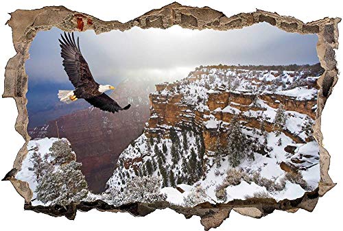 Wandaufkleber 3D Spiegel Ansicht Durchbrechen die Mauer Vinyl Wandsticker Adler Vogel Natur Berg Entfernbarer DIY Vinyl Wandtattoo für Wohnzimmer, Schlafzimmer,Kinderzimmer 80x120cm von Nian