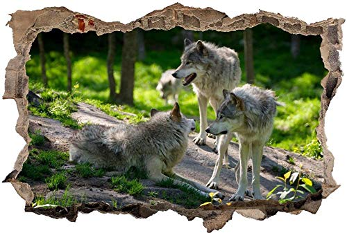 Wandaufkleber 3D Spiegel Ansicht Durchbrechen die Mauer Vinyl Wandsticker Wolfsrudel Rudel Wölfe Wald Entfernbarer DIY Vinyl Wandtattoo für Wohnzimmer, Schlafzimmer,Kinderzimmer 60x90cm von Nian