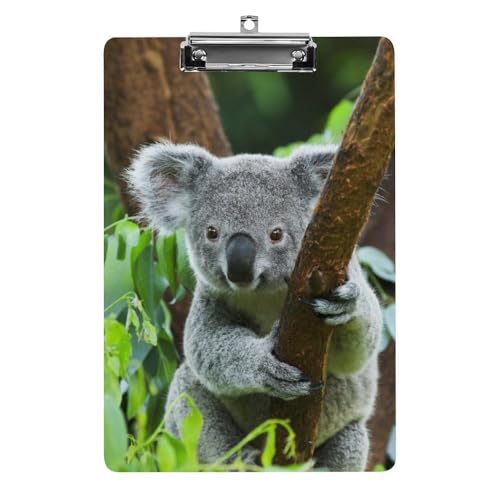 Klemmbretter für Kinder, Koala im Zoo-Druck, Acryl-Klemmbrett, leichtes Klemmbrett, A4-Größe, hält 21,6 x 32,5 cm, für Lehrer, Studenten, Frauen, Männer, Mädchen, Jungen von Niapessel