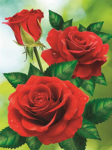 Nicole Knupfer DIY Diamant Painting Kit 5D Strass Diamond Painting Rose Blumen Bilder Full Bohrer Handgemachtes Wanddekoration (9,30x40cm) von Nicole Knupfer