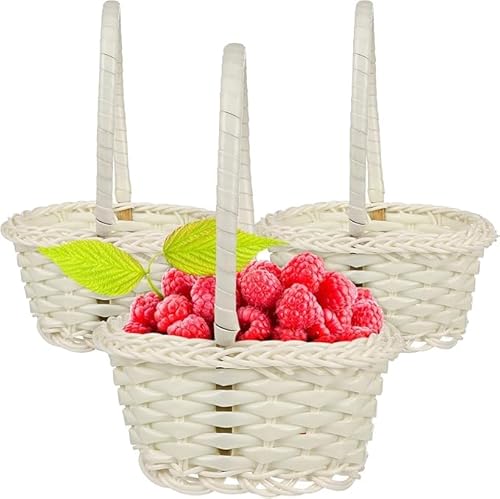 Kleine Körbe mit Griff, Blumenmädchenkörbe, Mini-Rattan, gewebte Blumenkörbe, Kunststoff, Handkörbe mit Griff für Gemüse, Obst, Garten, Hochzeitsdekoration, 10 Stück von Niltracy