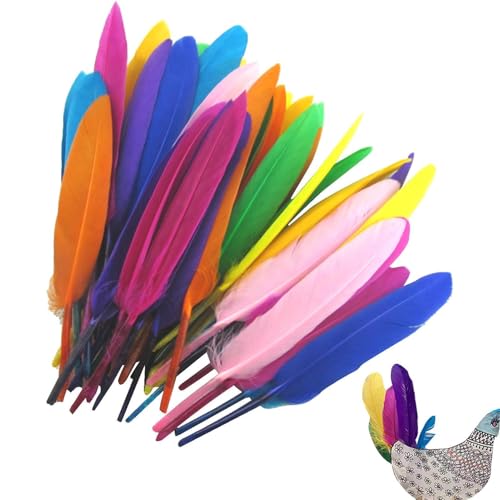 Feather Bulk Craft – 50 bunte Federn, gemischte Farben, bunte Bastelfedern, Mehrzweck-Traumfänger, Gänsefedern, Großpackung, Halloween-Partyzubehör von Nlrlo