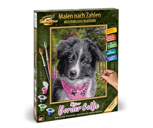 Schipper 609240793 Malen nach Zahlen - Kleiner Border Collie, 24 x 30 cm von Noris