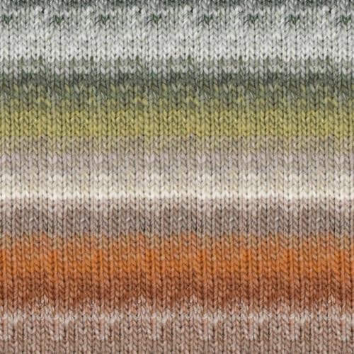 Noro Silk Garden Garn, Farben 2024/25 (543 - Unnan) von Noro