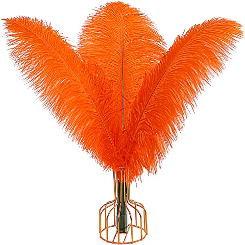 Nvzi Straußenfedern, Orange, 40 - 45 cm, für Hochzeiten, Partys, Ostern, Gatsby und Heimdekoration, Straußenfedern, 12 Stück von Nvzi