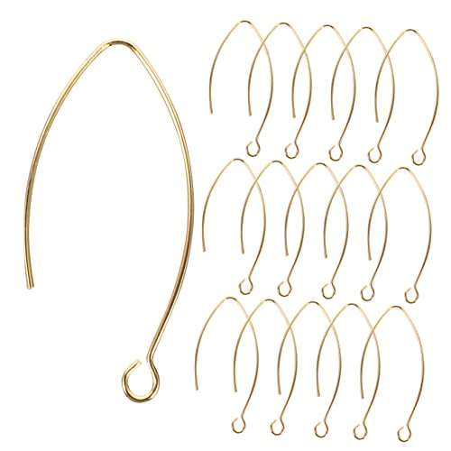 OATIPHO 20st Ohrhaken Büroklammer Draht Heimwerken Frauen Quaste Beiträge Goldschmuck Für Damen Bausatz Goldene Ohrhänger Für Damen Drähte Ohrring-sets Ohrringe Angelhaken Perlen Messing von OATIPHO