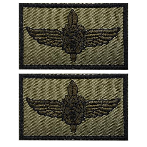 Brigade Israelische Armee bestickte Applikationen Patches, Israel Tactical Military Klettverschluss Rückseite Patch Taktische Abzeichen für Kleidung, Jacken, Jeans, Rucksäcke, Hüte von ODSP