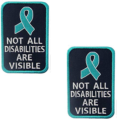 ODSS Aufnäher mit Aufschrift "Not All Disabilities are Visible" für Hundegeschirr, bestickt, mit Klettverschluss, 9 x 6 cm, 2 Stück von ODSS