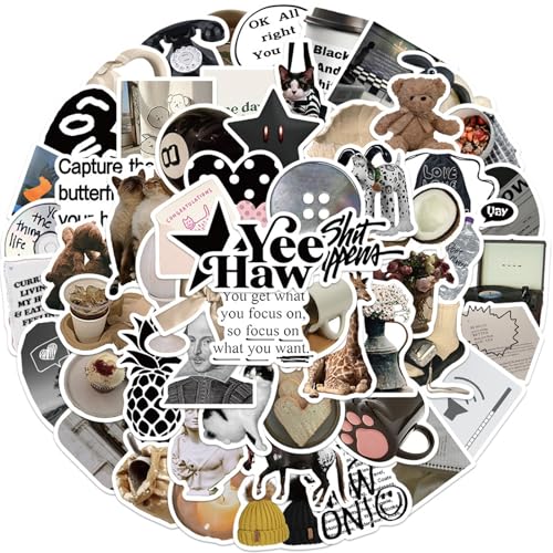 OEEYYT 60 Stück Sticker Aesthetic Laptop Scrapbook Stickers Set Aufkleber Wasserfest Diy Basteln Deko für Jugendliche Erwachsener (Bunt 60Stück) von OEEYYT