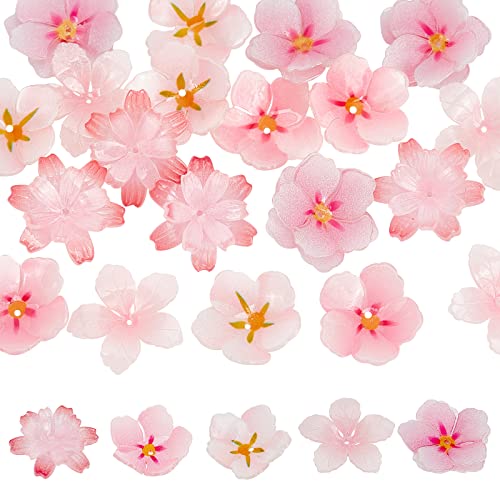 OLYCRAFT 20pcs 5 Größen Pfirsich Blumenperlen Caps Floral Spacer Perlen Pfirsich Blütenperlen Kunststoffperle für DIY Schmuck Halskette Armband Ohrringe Handwerk Making 20~23.5mm von OLYCRAFT