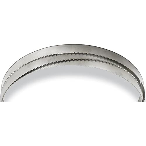 OPTIMUM 3351511 Optimum Bi-Metall-Sägeblätter 1638 mm Entwicklung, 13 mm x 0,65 mm, 6-10 Z von Optimum