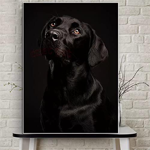 5D Diamant Painting Bilder Full Groß, Schwarzer Labrador-Hund 20x30cm 5D DIY Diamond Painting Set,voller Bohrer Diamond Painting Bilder Stickerei Mosaik Gemälde Kreuzstich Handwerk Wand Aufkleber von ORBANA