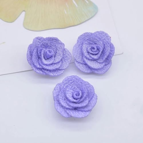 20 Stück 25 mm Mesh-Rosenblumen-Applikation für DIY-Kleidung, Hüte, Schuhe, Basteln, Nähen, Flicken, Kopfbedeckungen, Haarspangen, Dekorationszubehör, Lila von ORGEFY