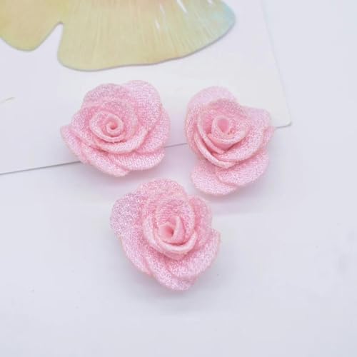 20 Stück 25 mm Mesh-Rosenblumen-Applikation für DIY-Kleidung, Hüte, Schuhe, Basteln, Nähen, Flicken, Kopfbedeckungen, Haarspangen, Dekorationszubehör, Rosa von ORGEFY