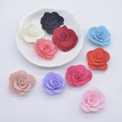 20 Stück 25 mm Mesh-Rosenblumen-Applikation für DIY-Kleidung, Hüte, Schuhe, Basteln, Nähen, Flicken, Kopfbedeckungen, Haarspangen, Dekorationszubehör, mehrfarbig von ORGEFY