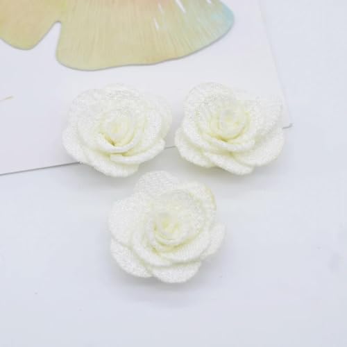 20 Stück 25 mm Mesh-Rosenblumen-Applikation für DIY-Kleidung, Hüte, Schuhe, Basteln, Nähen, Flicken, Kopfbedeckungen, Haarspangen, Dekorationszubehör, weiß von ORGEFY