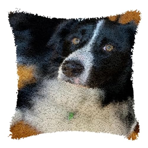 ORLUMY DIY Knüpfstern Set Border Collie Tiere Knüpfhaken-Kits Haustier Hund DIY Knüpfhaken-Kits Knüpfhaken-Kit Zum Aufhängen,Handarbeiten,Kissenbezüge,Knüpfhaken,Teppich-Kit 43x43cm von ORLUMY