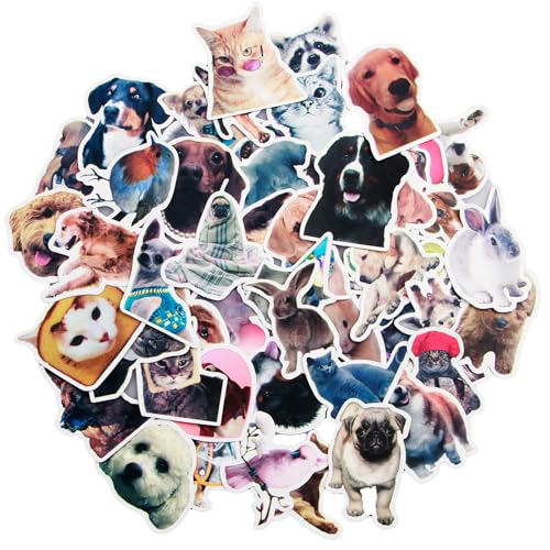 ORUZA Funny Sticker Tiere, 52 PCS Geschenk für Teens Erwachsene Jungen für Laptop, Cute Animals Wasserdichte Stickers für Wasserflaschen, Vinyl Stickers für Scrapbook, Skateboard Stickers von ORUZA