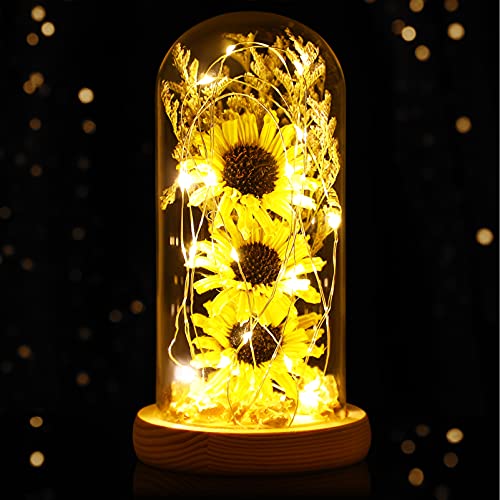 FÜHRTE Lampe Künstliche Sonnenblumen in Glas Dome mit Fee Lichter Enchanted Geschenk für Jahrestag Mütter Tag Valentines Tag (Gelb) von OSALADI