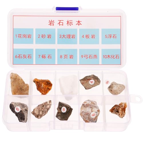 OUNONA 1 Satz Lehrmittel Für Gesteinsproben Mineralgesteinsexemplar Schmuck Perlen Kreativer Kieselstein Edelsteine Steinbecher Rock-tumbler-kit Amethyst Kunststoff-box 10st von OUNONA